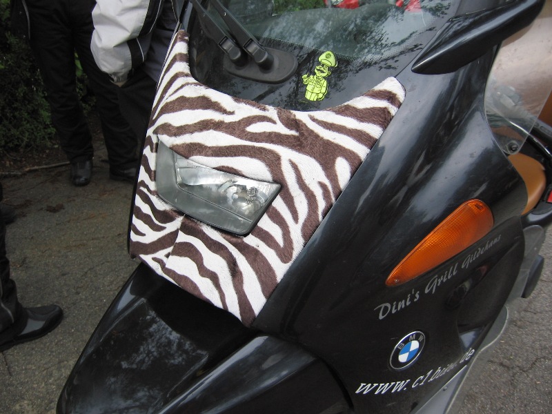 200653123625_zebra.JPG